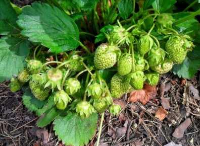 ������� �������� ��������� �������� � ������ ������ ����