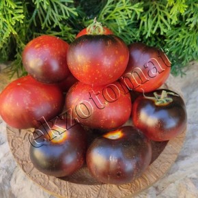 ����� ������: ��������������� ������ � ������������� �������������