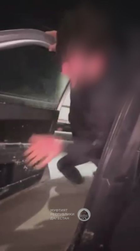 Цепляются за машины. Зимой автомобиль становится особенно опасным объектом, требующим максимальной ответственности