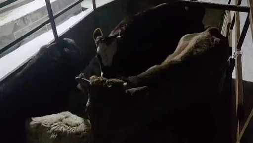 �������� ��������������� ������ �������� � ��������� ����� �� ������ �������� ������������� �����