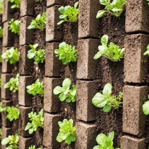 ������������ ������: ��� ������������ ���� ����-������� � ��������� �����