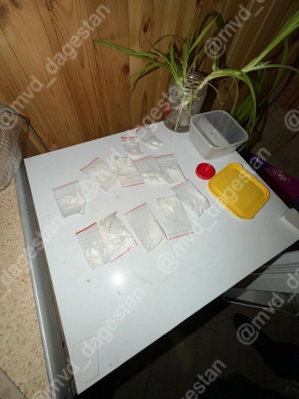 Двое жителей Махачкалы выращивали в доме марихуану и распространяли её и другие запрещенные вещества среди своих знакомых Двое жителей Махачкалы выращивали в доме марихуану и распространяли её и другие запрещенные вещества среди своих знакомых