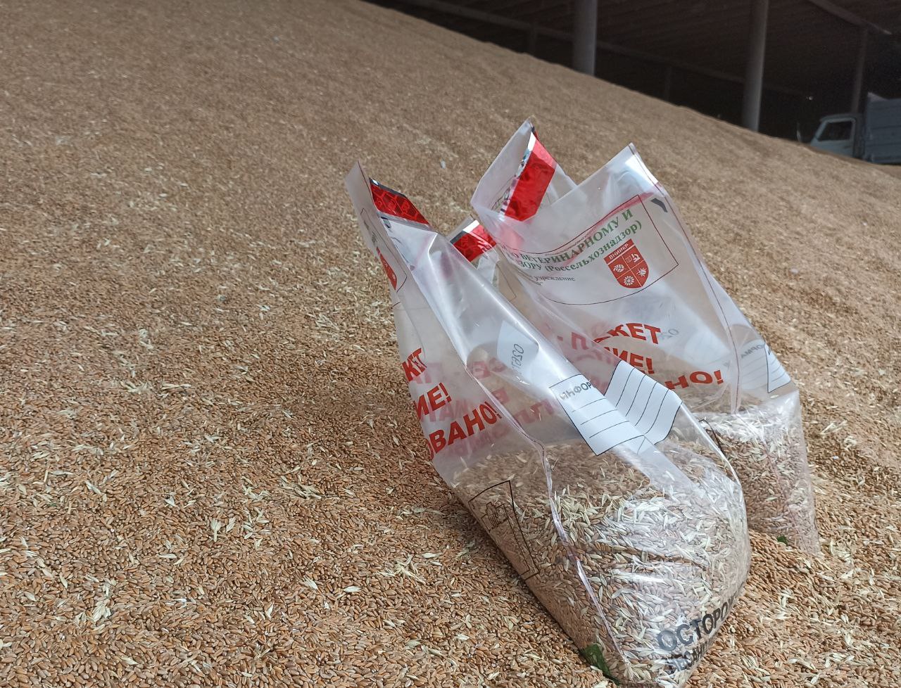 В Дагестане признали недействительными декларации на 24 тысячи тонн зерна В Дагестане признали недействительными декларации на 24 тысячи тонн зерна