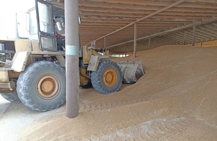 В Дагестане признали недействительными декларации на 24 тысячи тонн зерна