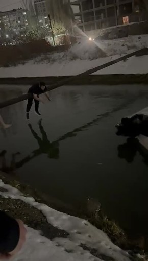 ����������� �������� � ���������: ��������� ������ ������� ������� � ��� ������ ��������� �� ������� ����������