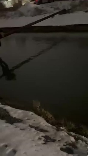 �������� ������ ���� � ������� �� ������, ������� ������� � ��� � ���������