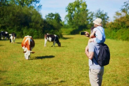 ���� �������� ����������� � ��������� ������� 65 ��� ������ ������� � 2026 ����