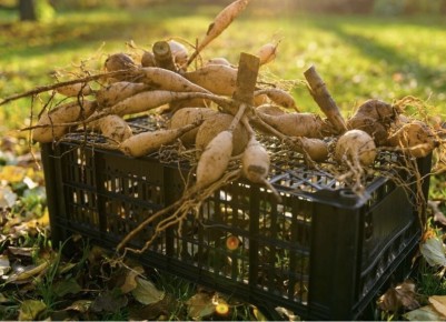 ��� ��������� ������� ����� � ��������� ��������: ������������ �������