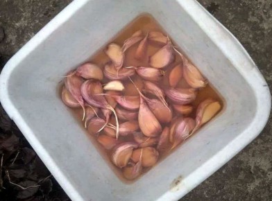 ����������� ���������� ����� ��������: ��� ������� ���������� � ����������� ������