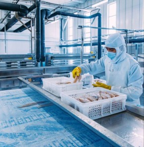 ����������� ������: �������������� ����� �������� 326 ���