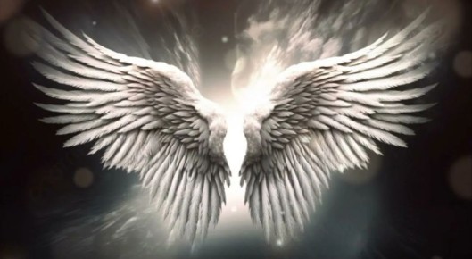 ������� ����������� � ������� �����: ������� ����� �������