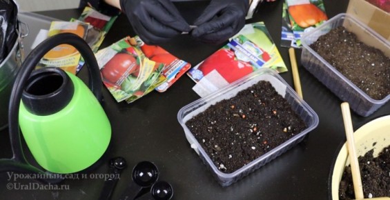 ����� �� ������� ���������: ��� ��������� ����������� ������ ��� �����