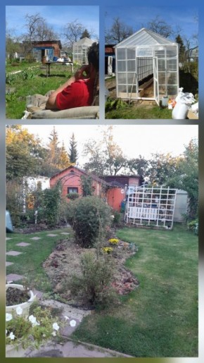 ���� � ���� �����: ��������� ������������ ������� �������� �������