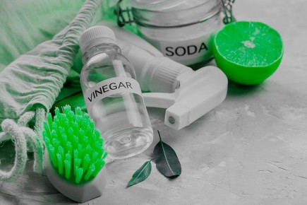 ������ �������� ����� � ������ ������ ��� ������������ ������