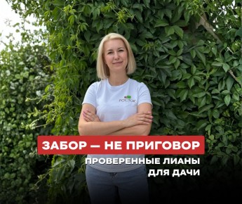 ������ ����� � �������� �� ����: ������ �������� �������� ��� ����������� �� ����