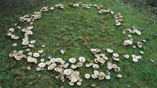 ������� ���� �� ������: ��� ���������� � ������������� ��������� ������