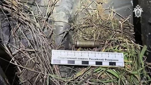 ���������� ���������� ������������� ���� ����������� � ���������