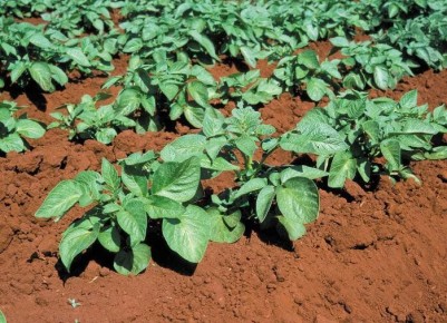 ��������� ���������� ���������� ��������� � ���� � � ������� ����