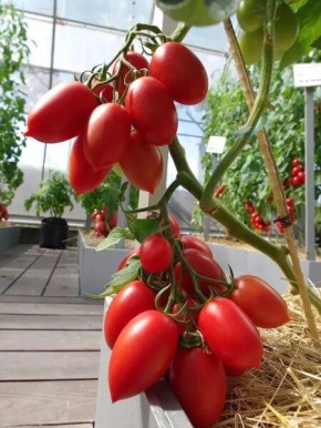 ����� ������: ���������� ������ ������ � ������� ������� ������