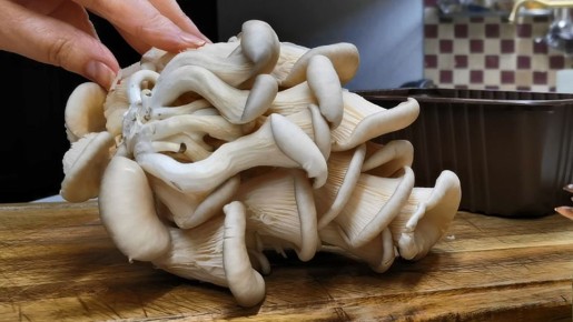 ������� ��������: �������� � �������, ������� ��������� �������� �����