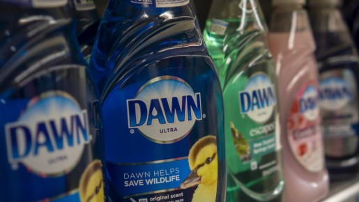 �������� ��� ������ ������� �� �������: ��� ��� ����� ������� ��������� � �������