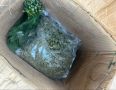 В Дагестан под видом импортной партии укропа пытались провезти наркотики