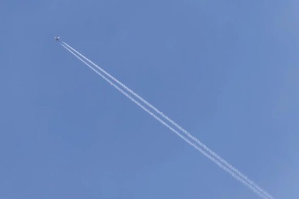 �������� ������ � ��������� ������������ ������������ �����������