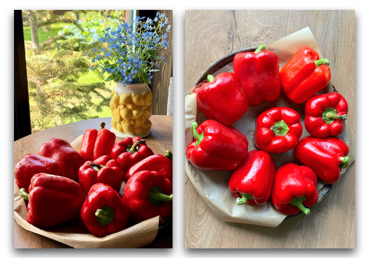 Летние закуски: как запечь перцы для рулетов и салатов