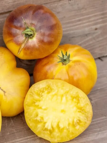 Томат Луна: Неприхотливый и вкусный вариант для огородников