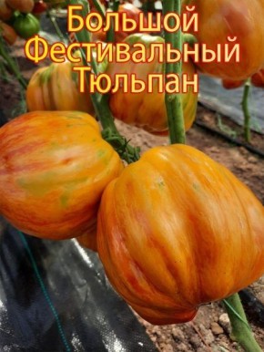 ����� �������� ������������� ��������: �������������� ����� � ���������� ����