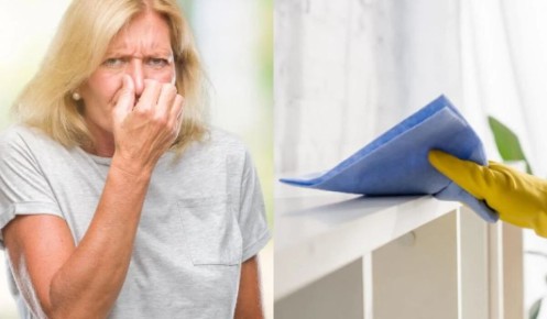 Народные средства для борьбы с неприятными запахами в квартире