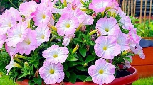 ��� ������� �������� � ���� ������� � ������� ���������� �������