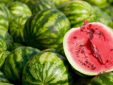 ������� ������ �� ����� �������: ������� ��������� �����