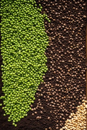 ������� ��� ������ ����: �� �������� �� ���������