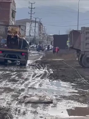 � ��������� �������� ��������� ���������������� ������ ��������