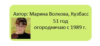 Как муж удивил жену: декоративный лук и веселье на огороде