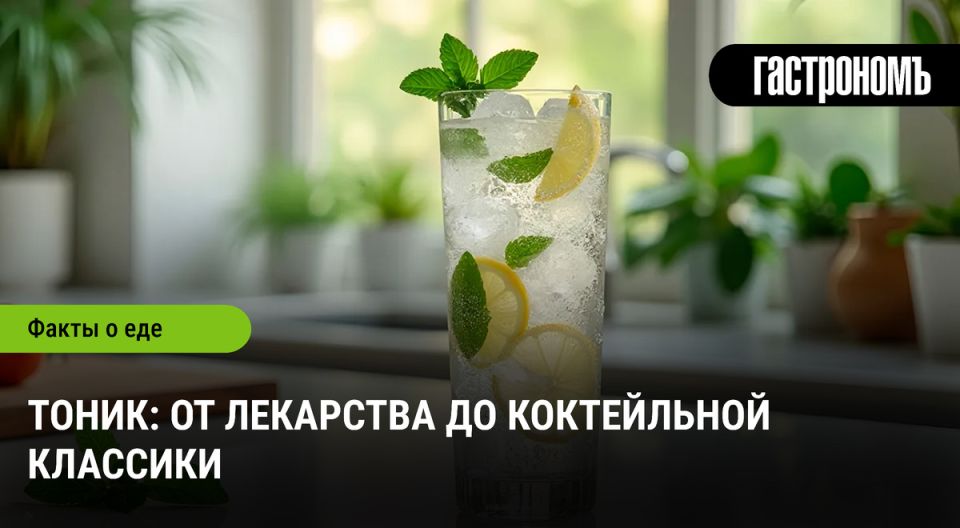 Тоник: от целебного средства до модного коктейля