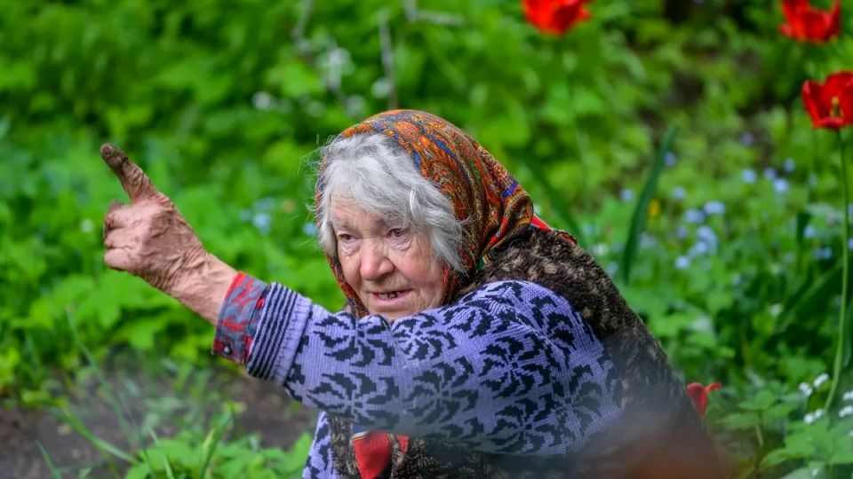 Соседские страсти: как забор стал символом конфликта на даче
