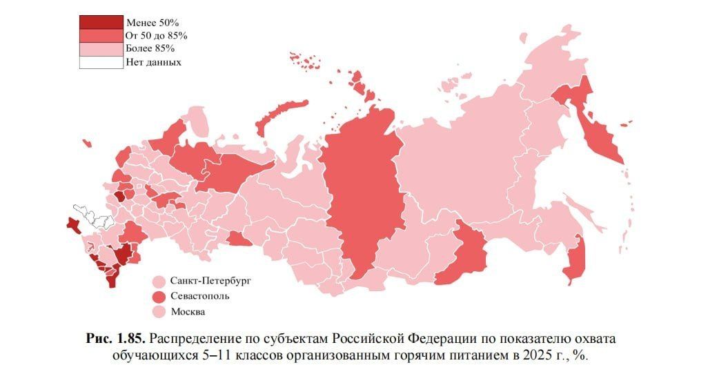 Регионы Северного Кавказа показали самые низкие показатели охвата горячим питанием в школах в 2025 году