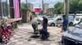 � ��������� ���������� ������������� �� ��������� ������� � ��������� ���� �� ����� �. ������