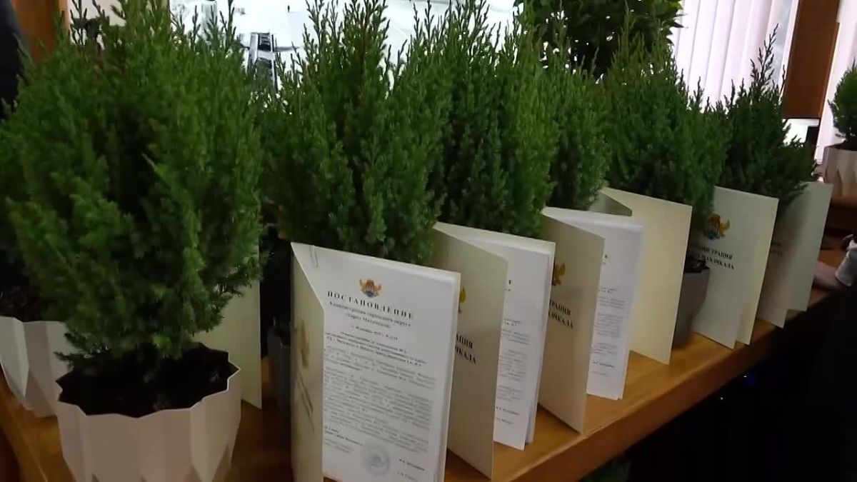 Администрация города Махачкалы озвучила критерии для получения земельных участков участниками СВО и их семьями