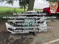 С 29 июня по 5 июля 2026 года на территории Республики Дагестан зарегистрировано 38 ДТП, в которых погибли 7 человек и получили ранения различной степени тяжести 42 человека, среди них 6 детей