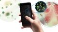 Зачем дезинфицировать смартфон? Научный взгляд на повседневную привычку