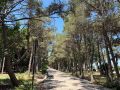 Доброе утро уважаемые Каспийчане!