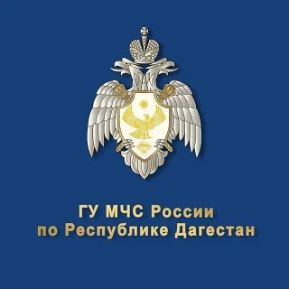 Более 65 тысяч жителей Дагестана получили выплаты после паводков