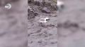 Более десяти сел Чародинского района остаются без транспортного сообщения