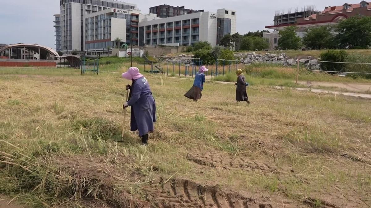 В Каспийске под руководством временно исполняющего обязанности главы города Арсена Шерифова прошла очередная комиссионная инспекция, на этот раз сосредоточенная на пляжной территории перед бывшим кинотеатром "Родина"