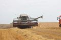 Аграрии Сулейман-Стальского района приступили к уборке зерновых