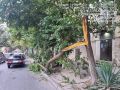 ������� ��� "���������������" ������� ��������� ������ �� ����� � ������� �������� �� ���������� ������ ���������