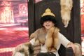 Более 1 500 человек стали участниками Большого просветительского фестиваля